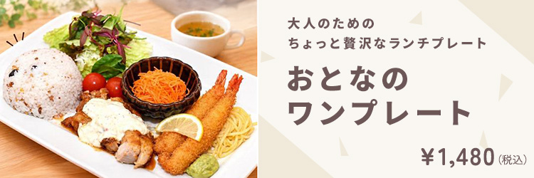おとなのワンプレート